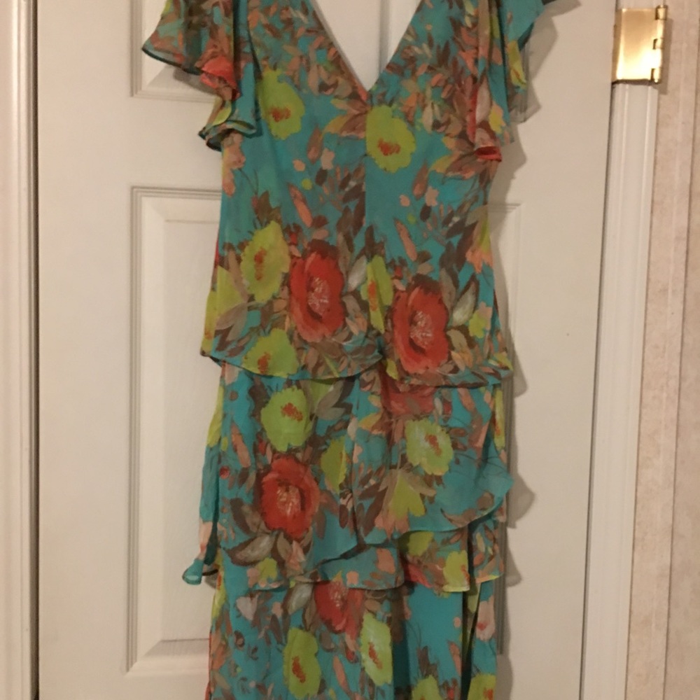 💥Price drop💥 Shelby & Palmer dress size 16